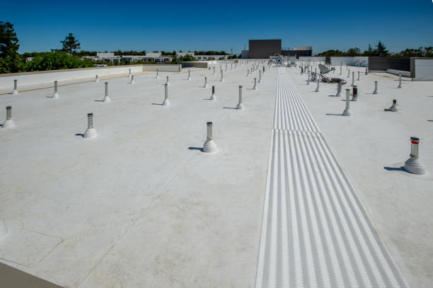 Best Roof Ventilation Installation  in USA